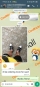 resize